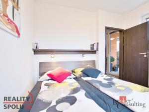 Pronájem bytu 2+1, České Budějovice - České Budějovice 2, Krčínova, 83 m2