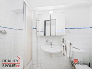 Pronájem bytu 1+kk, Praha - Libeň, Novákových, 27 m2