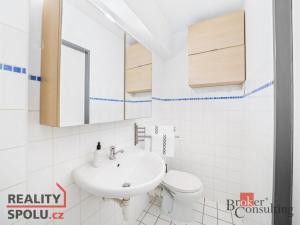 Pronájem bytu 1+kk, Praha - Libeň, Novákových, 27 m2