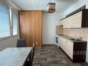 Pronájem bytu 1+1, Ústí nad Labem - Všebořice, Plynárenská, 36 m2