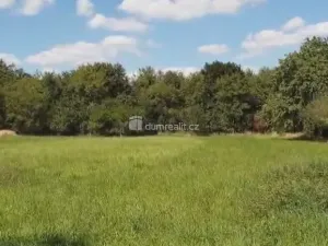 Prodej zahrady, Hranice - Hranice IV-Drahotuše, 1141 m2