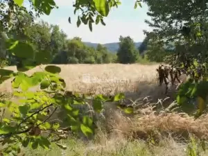 Prodej zahrady, Hranice - Hranice IV-Drahotuše, 1141 m2