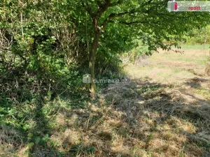 Prodej zahrady, Hranice - Hranice IV-Drahotuše, 1141 m2