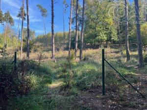 Prodej lesa, Štěchovice, 8586 m2