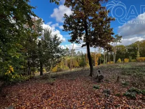 Prodej lesa, Štěchovice, 8586 m2