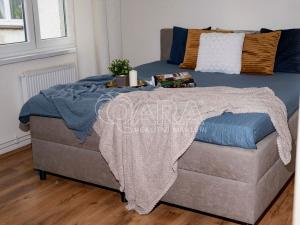 Pronájem bytu 2+1, Ostrava - Hrabová, Obchodní, 48 m2