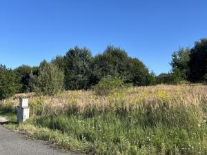 Prodej rodinného domu, Březí, 125 m2