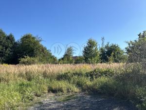 Prodej rodinného domu, Březí, 125 m2