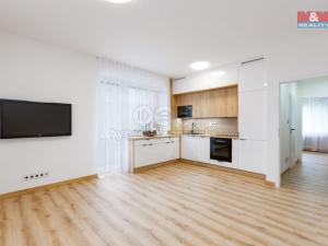 Prodej bytu 2+kk, Havířov, Hálkova, 45 m2
