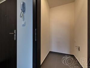 Pronájem bytu 1+kk, Praha - Karlín, U Mlýnského kanálu, 37 m2