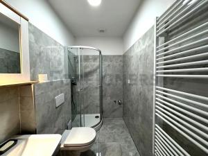 Pronájem bytu 1+kk, Brno, Bašty, 36 m2