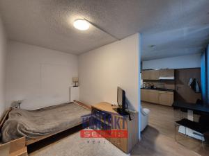 Pronájem bytu 2+kk, České Budějovice, Jeremiášova, 40 m2
