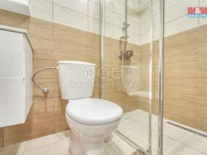 Prodej rodinného domu, Chotěšov, Starý mlýn, 353 m2