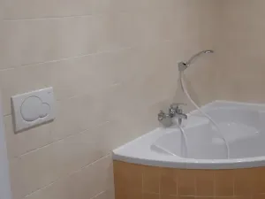 Pronájem bytu 1+kk, Břeclav, U Tržiště, 30 m2