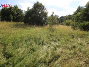 Prodej louky, Frýdlant, 25331 m2