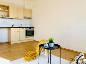 Pronájem bytu 1+kk, Brno, Svatoplukova, 27 m2