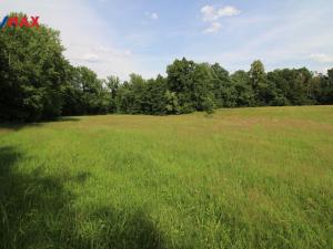 Prodej louky, Frýdlant, 48192 m2