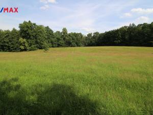 Prodej louky, Frýdlant, 48192 m2