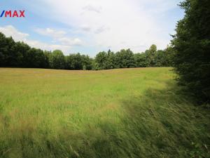 Prodej louky, Frýdlant, 48192 m2