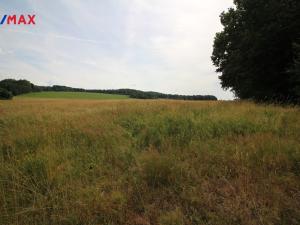 Prodej louky, Frýdlant, 48192 m2