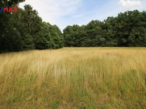 Prodej louky, Frýdlant, 48192 m2