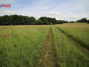 Prodej louky, Frýdlant, 48192 m2