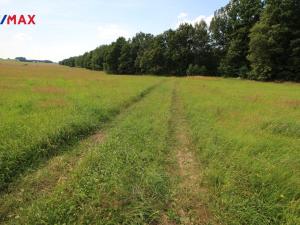 Prodej louky, Frýdlant, 48192 m2