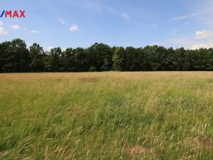 Prodej louky, Frýdlant, 48192 m2