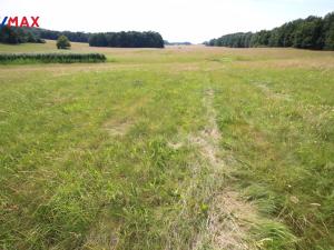 Prodej louky, Frýdlant, 48192 m2