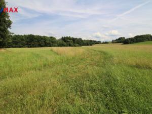 Prodej louky, Frýdlant, 48192 m2