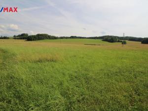 Prodej louky, Frýdlant, 48192 m2