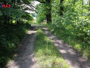 Prodej louky, Frýdlant, 48192 m2