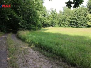 Prodej louky, Frýdlant, 48192 m2