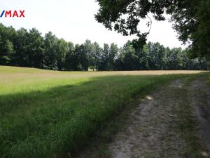 Prodej louky, Frýdlant, 48192 m2