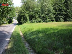 Prodej louky, Frýdlant, 48192 m2