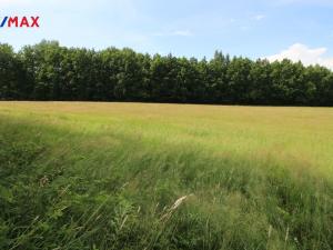 Prodej louky, Frýdlant, 48192 m2