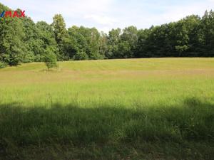 Prodej louky, Frýdlant, 48192 m2