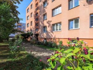Prodej bytu 3+1, Žatec, Hájkova, 62 m2