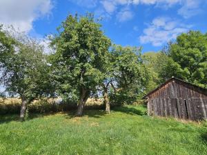 Prodej rodinného domu, 100 m2