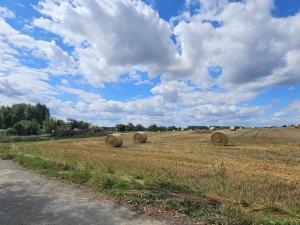 Prodej rodinného domu, Mnich, 100 m2
