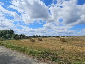 Prodej rodinného domu, Mnich, 100 m2