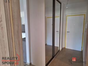 Pronájem bytu 2+kk, Plzeň - Východní Předměstí, Kartónová, 55 m2