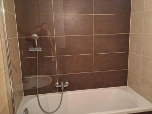 Pronájem bytu 2+kk, Plzeň - Východní Předměstí, Kartónová, 55 m2
