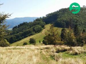 Prodej komerčního pozemku, Košařiska, 4998 m2