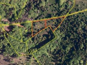 Prodej komerčního pozemku, Košařiska, 4998 m2