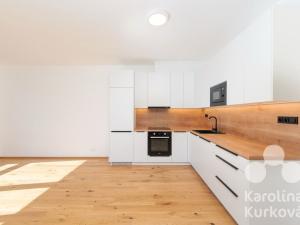 Pronájem bytu 2+kk, Praha - Nusle, Muzikova, 56 m2