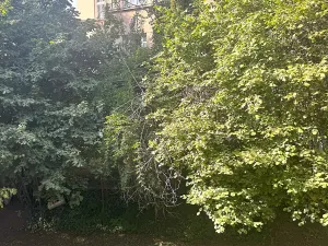 Pronájem bytu 2+1, Praha - Libeň, V Holešovičkách, 56 m2