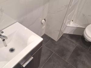 Pronájem bytu 2+1, Bílina - Teplické Předměstí, M. Švabinského, 55 m2