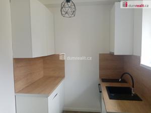 Pronájem bytu 1+1, Děčín - Děčín III-Staré Město, Zelená, 30 m2