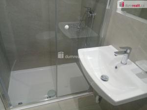 Pronájem bytu 1+1, Děčín - Děčín III-Staré Město, Zelená, 30 m2